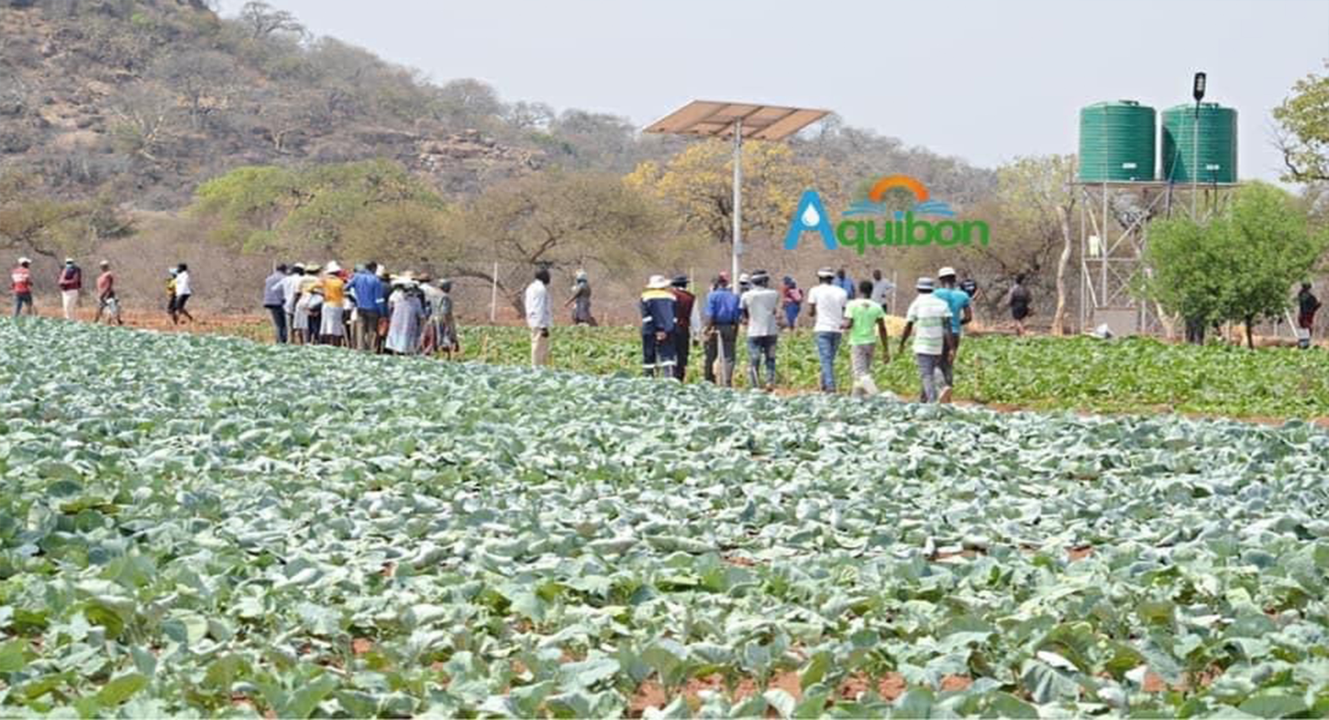 Community Project